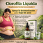 Clorofila Liquida Premium